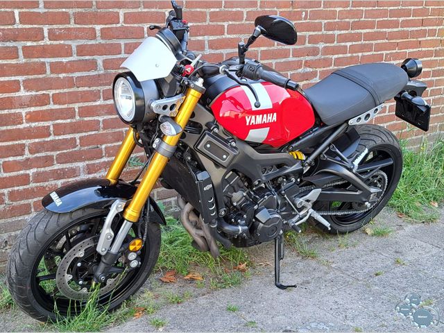 yamaha - xsr-900