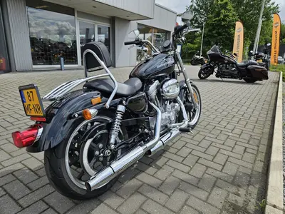 HARLEY-DAVIDSON SPORTSTER SUPERLOW XL 883 L – foto 3