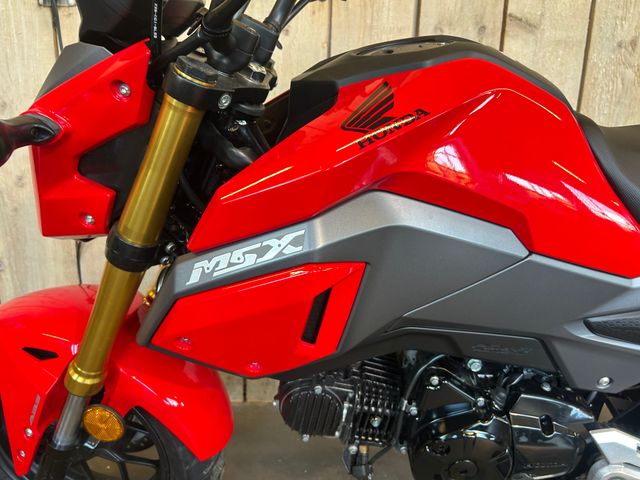honda - msx-125