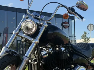 HARLEY-DAVIDSON SOFTAIL STANDARD – foto 2