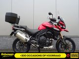 TRIUMPH TIGER EXPLORER