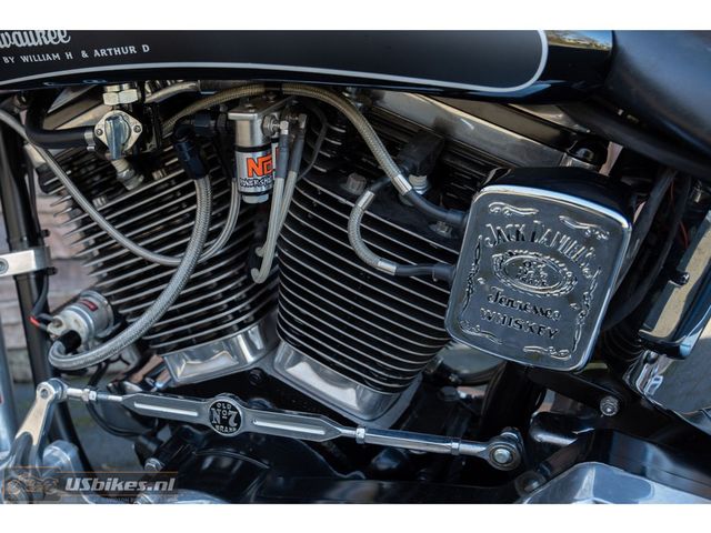 harley-davidson - softail-custom