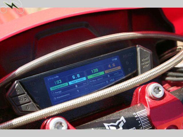 Arctic-Leopard - cheetah-exe-880