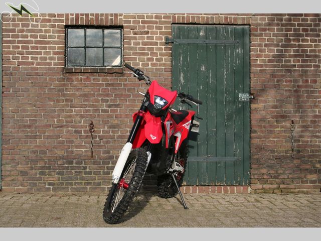 Arctic-Leopard - cheetah-exe-880