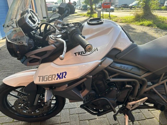 triumph - tiger-800-xr