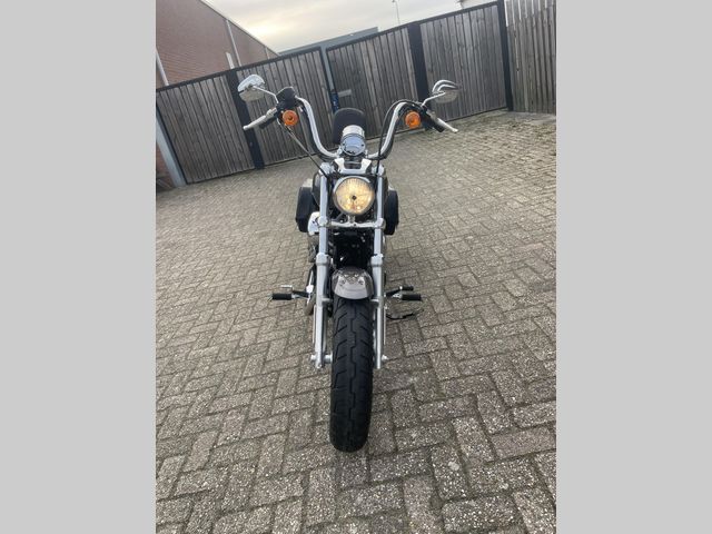 harley-davidson - sportster--custom-cb-xl-1200