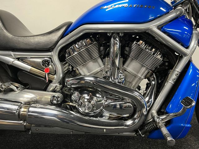 harley-davidson - v-rod-vrsca