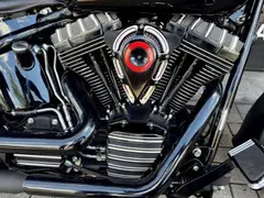Harley-Davidson Flstc Softail Special FAT 2010 occasion – foto 6 van 16