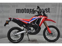 HONDA CRF 300 RALLY