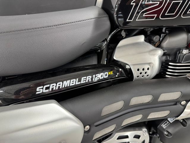 triumph - scrambler-1200-xe