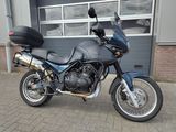 TRIUMPH TIGER 900