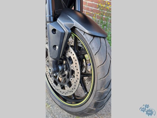 triumph - tiger-1050-sport