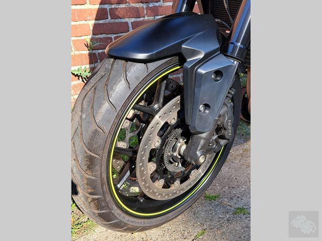 triumph - tiger-1050-sport