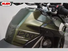 Triumph Onbekend model 2019 occasion – foto 13 van 24