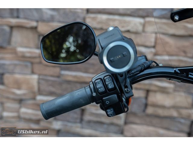 harley-davidson - softail-slim-s-flss