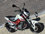 BENELLI TORNADO NAKED T