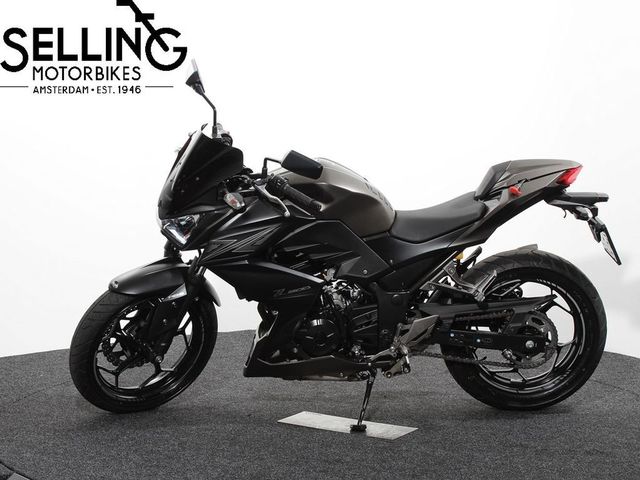 kawasaki - z-300-performance