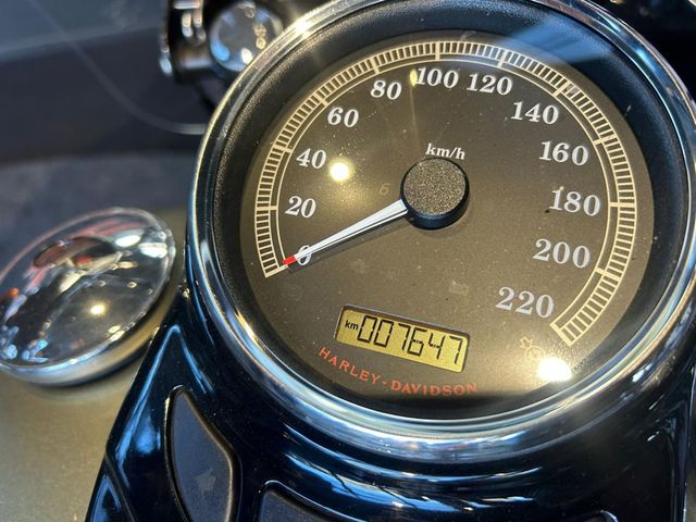 harley-davidson - softail-slim-fls