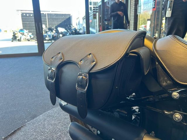 harley-davidson - softail-slim-fls