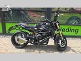 BENELLI LEONCINO 800