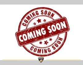 Harley-Davidson Road Glide Special 114 2020 occasion