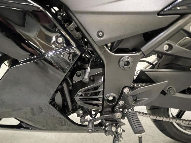 kawasaki - ninja-zx-250-r