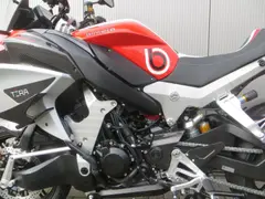 Bimota Tesi H2 Tera 2025 nieuw – foto 14 van 20