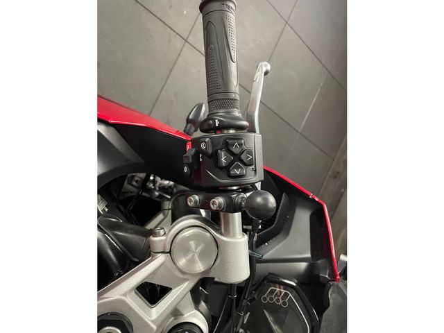 triumph - daytona-660