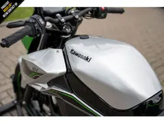 Kawasaki Z-e1 2024 occasion – foto 13 van 20