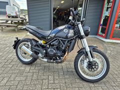BENELLI LEONCINO 500
