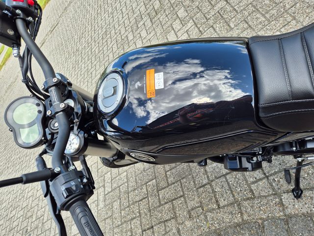 benelli - leoncino-500