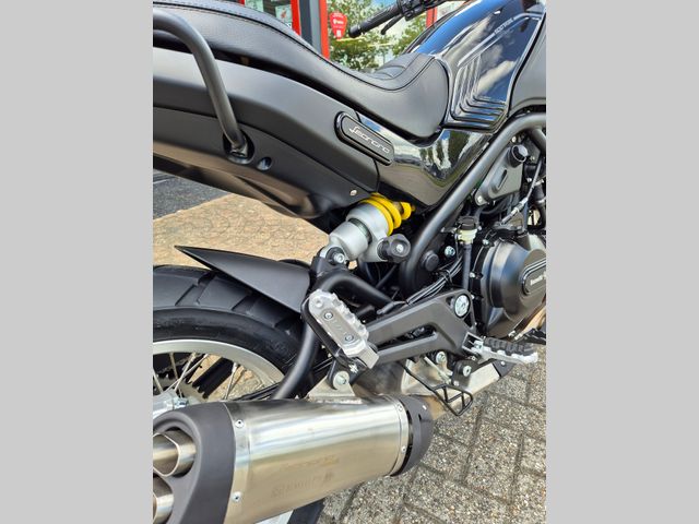benelli - leoncino-500