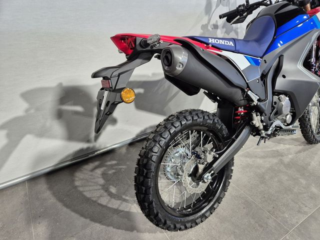 honda - crf-300-rally