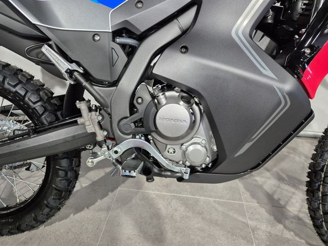 honda - crf-300-rally