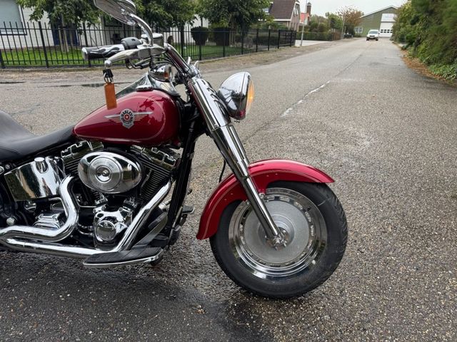 harley-davidson - fat-boy-flstf