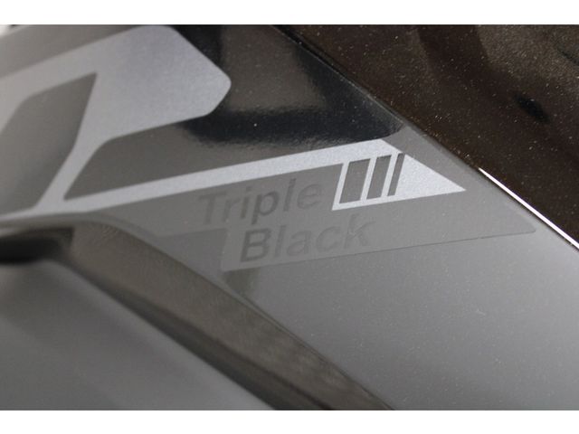 bmw - r-1300-gs