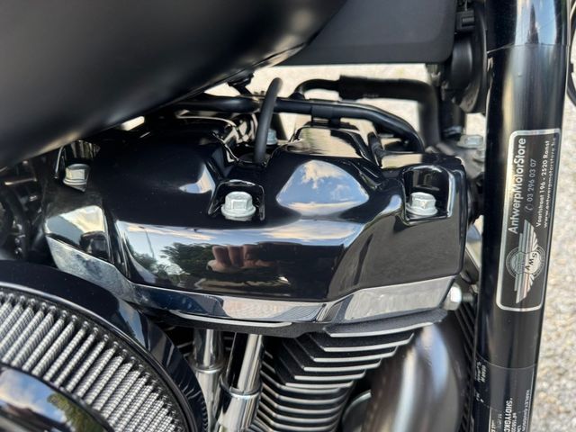 harley-davidson - fat-boy-114