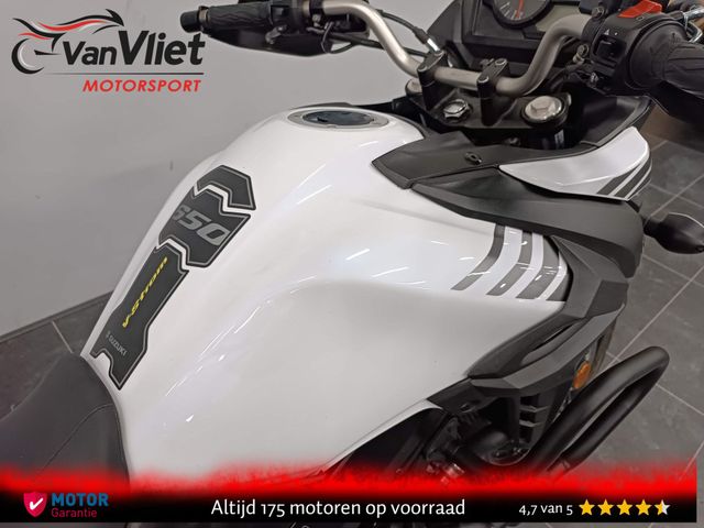 suzuki - v-strom-650