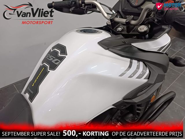 suzuki - v-strom-650