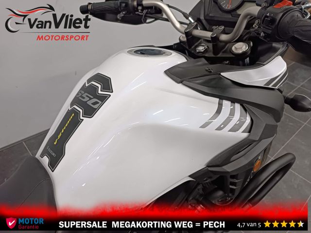 suzuki - v-strom-650