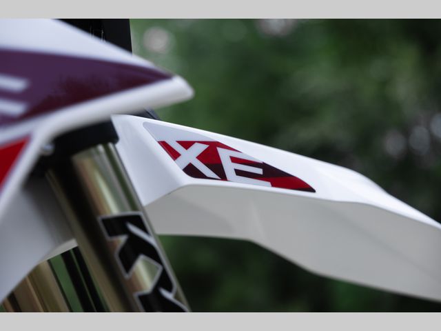 fantic - xe-310