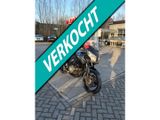 SUZUKI V-STROM DL 650