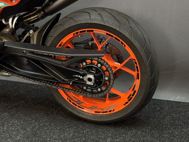 ktm - 890-duke-gp