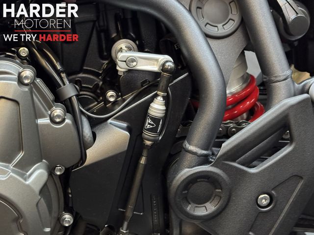 triumph - tiger-900-gt-pro