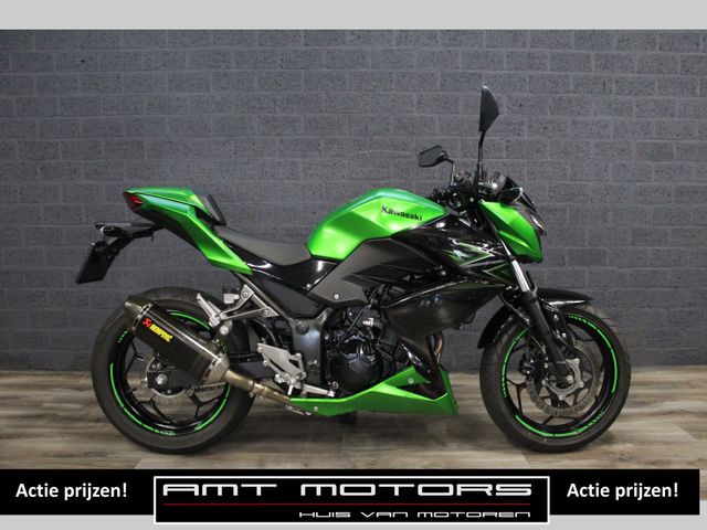 kawasaki - z-300