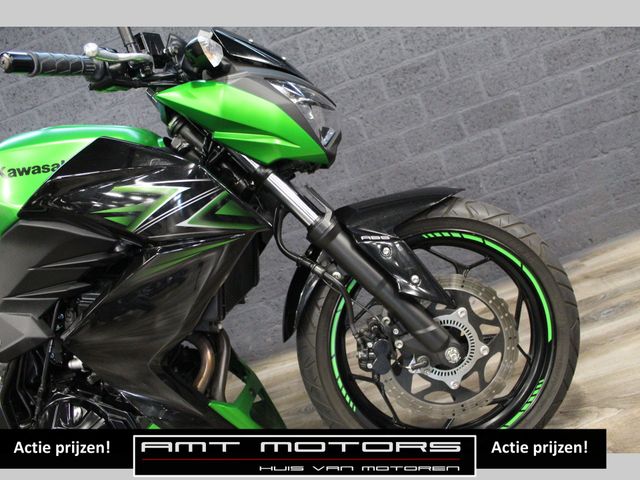 kawasaki - z-300