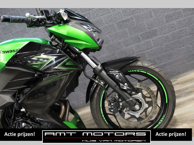kawasaki - z-300