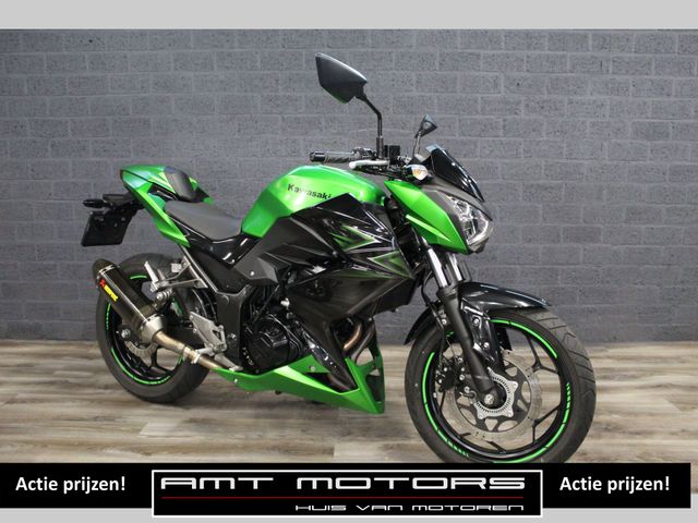 kawasaki - z-300