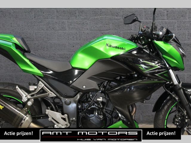 kawasaki - z-300