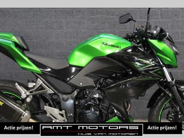 kawasaki - z-300